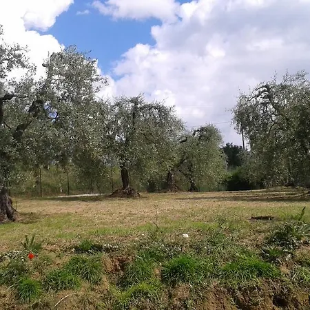 Il Borgo Di Silvio
