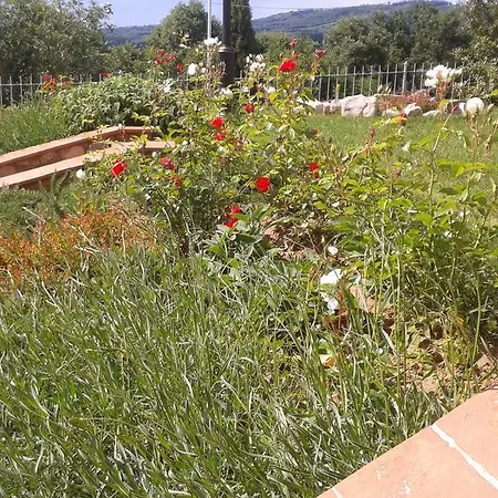 Apartamento Il Borgo Di Silvio